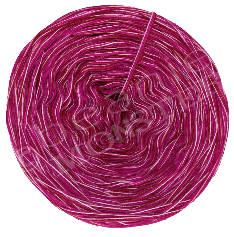 Pink Lady - 4fädig