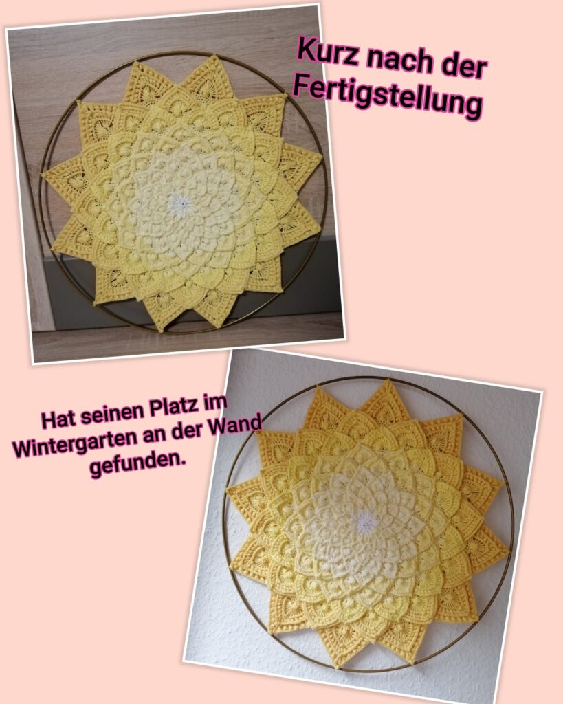 photocollage 2025723144811950 resized 20250724 082250243